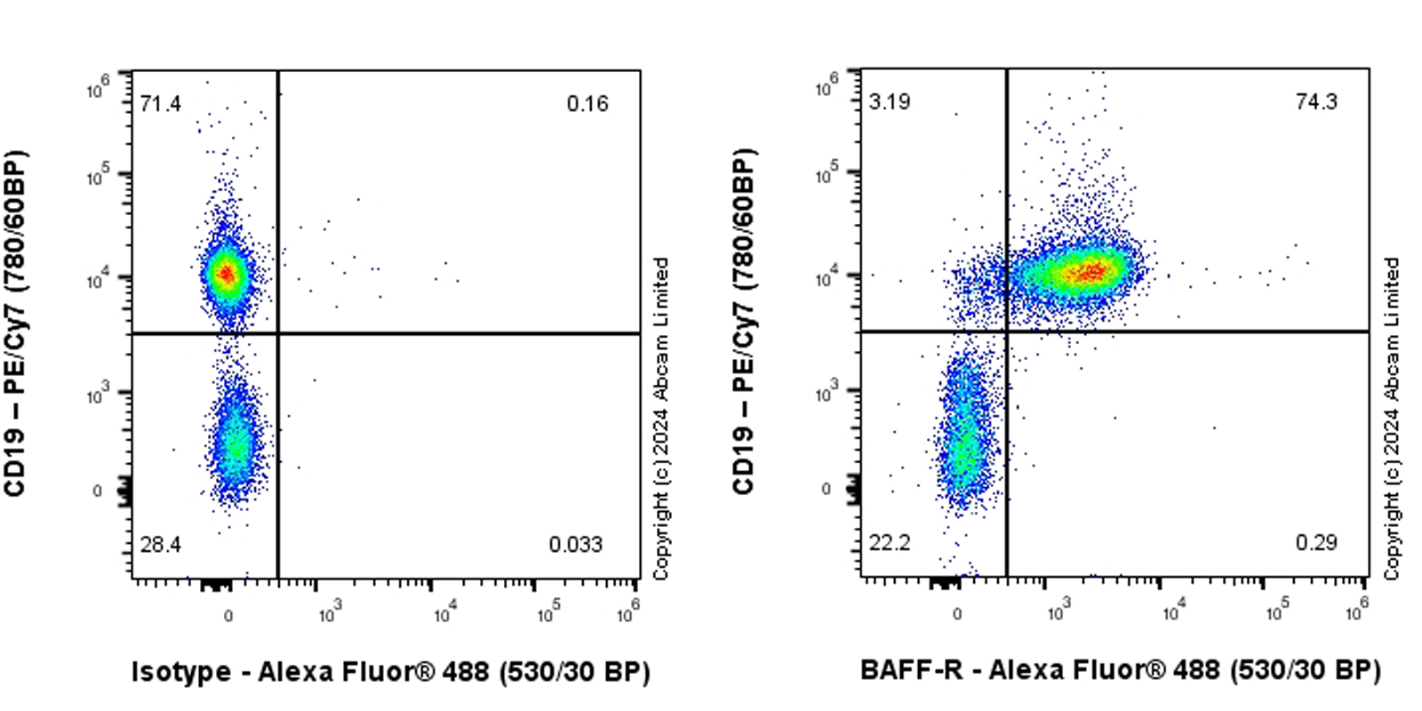 Flow Cytometry - Anti-BAFF-R antibody [RM2065] (AB320843), expandable thumbnail