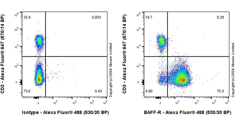 Flow Cytometry - Anti-BAFF-R antibody [RM2065] (AB320843)