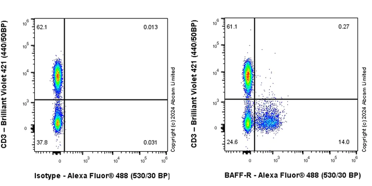 Flow Cytometry - Anti-BAFF-R antibody [RM2065] (AB320843)