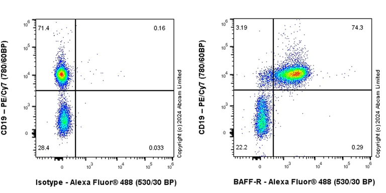 Flow Cytometry - Anti-BAFF-R antibody [RM2065] - BSA and Azide free (AB320844)