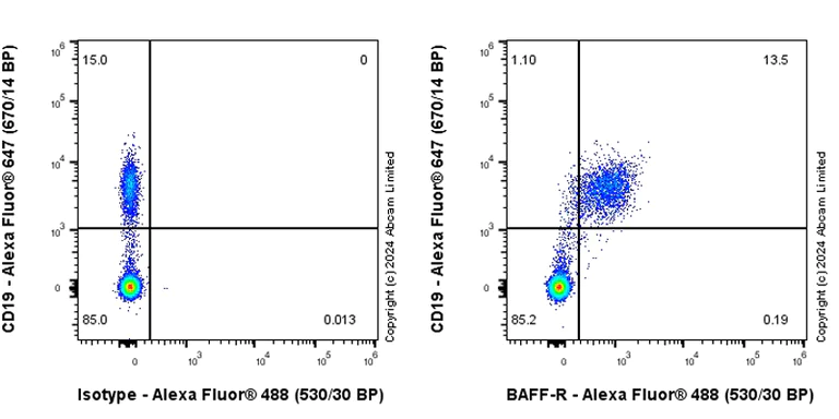 Flow Cytometry - Anti-BAFF-R antibody [RM2065] - BSA and Azide free (AB320844)