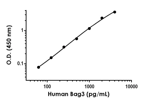 Sandwich ELISA - Anti-Bag3 antibody [EPR20207-109] - BSA and Azide free (Detector) (AB244958)