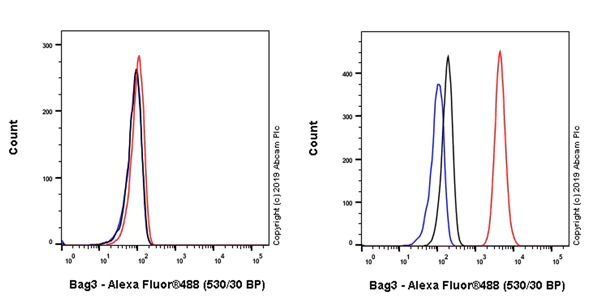 Flow Cytometry (Intracellular) - Anti-Bag3 antibody [EPR20207-4-3] - BSA and Azide free (AB252390)
