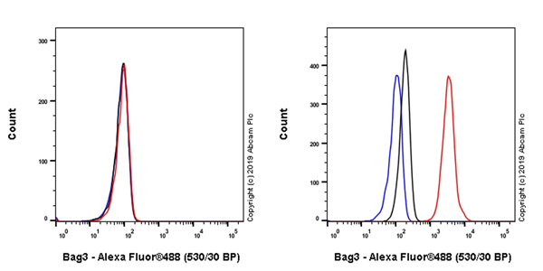 Flow Cytometry (Intracellular) - Anti-Bag3 antibody [EPR20207-58-4] (AB246225), expandable thumbnail