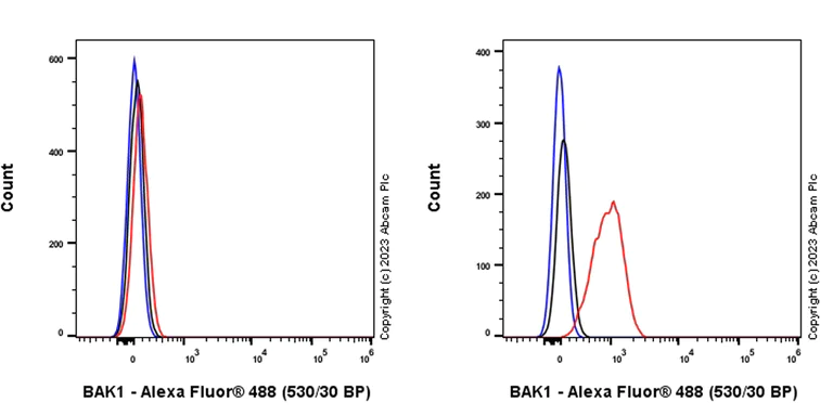 Flow Cytometry (Intracellular) - Anti-Bak antibody [Y164] - BSA and Azide free (AB220790)