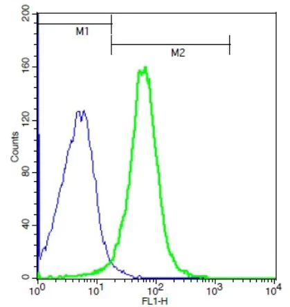Flow Cytometry - Anti-BAMBI/NMA antibody (AB203070)