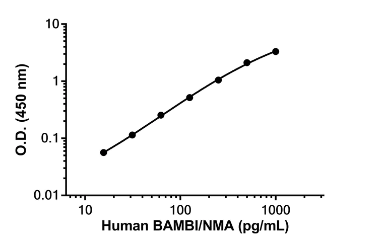 Sandwich ELISA - Anti-BAMBI/NMA antibody [EPR26141-145] - BSA and Azide free (Detector) (AB307246)