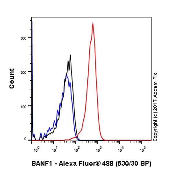 Flow Cytometry (Intracellular) - Anti-BANF1/BAF antibody [EPR7668] - BSA and Azide free (AB240953), expandable thumbnail