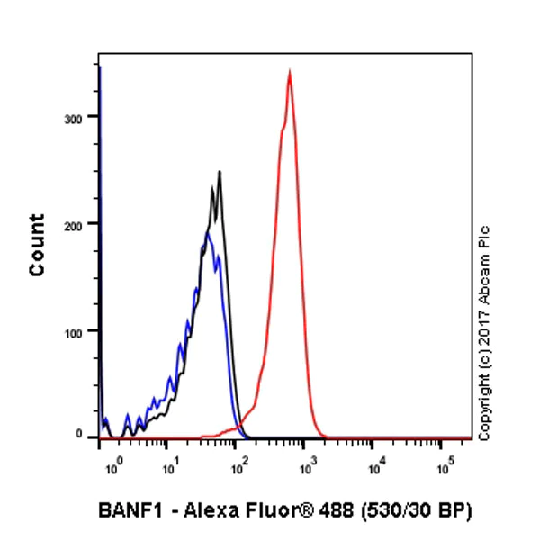 Flow Cytometry (Intracellular) - Anti-BANF1/BAF antibody [EPR7668] - BSA and Azide free (AB240953)