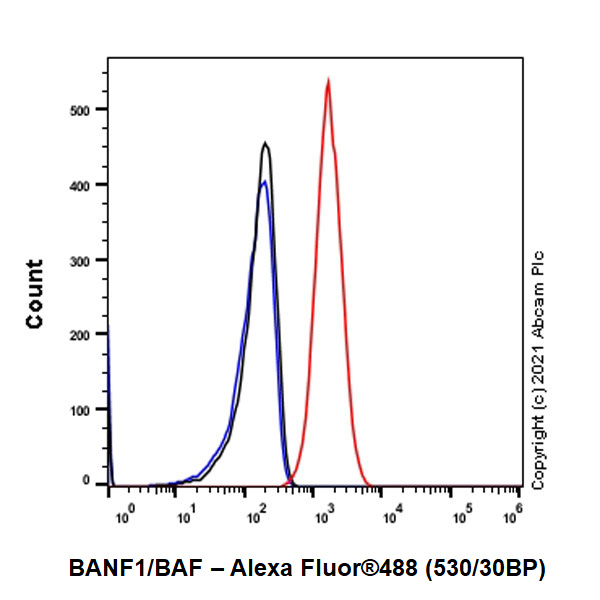 Flow Cytometry (Intracellular) - Anti-BANF1/BAF antibody [EPR7669] - BSA and Azide free (AB248281), expandable thumbnail