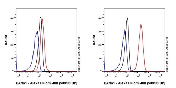 Flow Cytometry (Intracellular) - Anti-BANK1 antibody [EPR20788] - BSA and Azide free (AB230492), expandable thumbnail