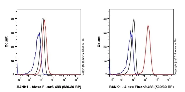 Flow Cytometry (Intracellular) - Anti-BANK1 antibody [EPR20788] - BSA and Azide free (AB230492)