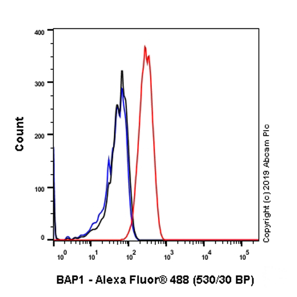 Flow Cytometry (Intracellular) - Anti-BAP1 antibody [EPR22826-65] (ab255611), expandable thumbnail