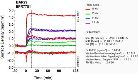OI-RD Scanning - Anti-BAP29 antibody [EPR7781] - BSA and Azide free (AB248268)