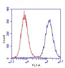 Flow Cytometry - Anti-BAP31 antibody [7A3BB6] (AB112993), expandable thumbnail