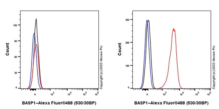 Flow Cytometry (Intracellular) - Anti-BASP1 antibody [EPR28065-75] - BSA and Azide free (AB312323)