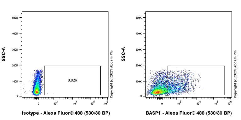 Flow Cytometry - Anti-BASP1 antibody [EPR28066-51] (AB312324)