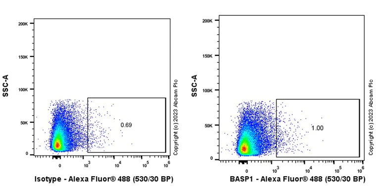 Flow Cytometry - Anti-BASP1 antibody [EPR28066-51] (AB312324)
