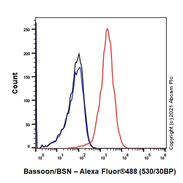 Flow Cytometry (Intracellular) - Anti-Bassoon/BSN antibody [EPR25379-3] - BSA and Azide free (AB283704)