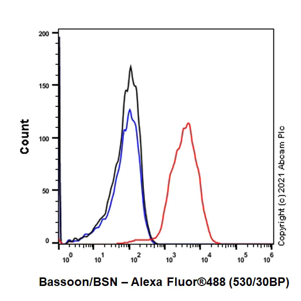 Flow Cytometry (Intracellular) - Anti-Bassoon/BSN antibody [EPR25379-3] - BSA and Azide free (AB283704)