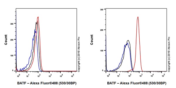 Flow Cytometry (Intracellular) - Anti-BATF antibody [EPR21911-55] - BSA and Azide free (AB237038), expandable thumbnail