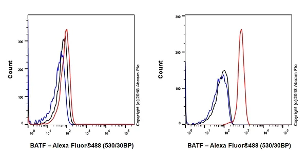 Flow Cytometry (Intracellular) - Anti-BATF antibody [EPR21911-55] - BSA and Azide free (AB237038)