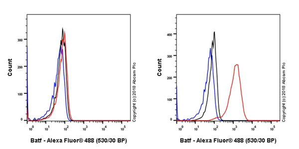 Flow Cytometry (Intracellular) - Anti-BATF antibody [EPR21911] - BSA and Azide free (AB234621)