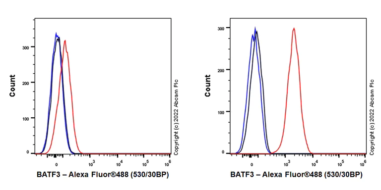 Flow Cytometry (Intracellular) - Anti-BATF3 antibody [EPR26558-38] (AB302568)