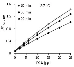 Functional Studies - BCA Protein Assay Kit (AB102536)
