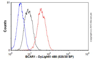 Flow Cytometry (Intracellular) - Anti-BCAR1 antibody [M144] (AB31831)