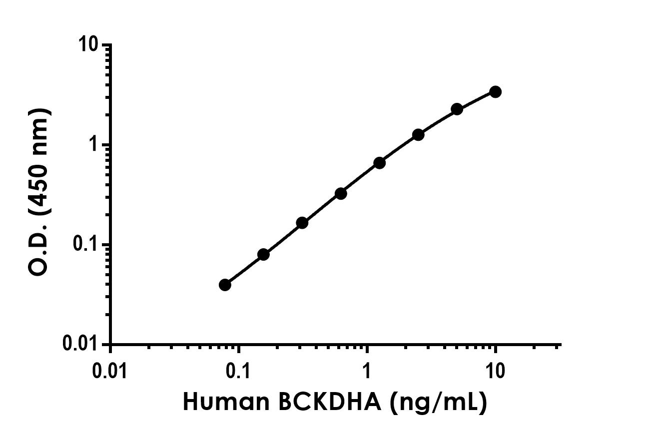 Sandwich ELISA - Anti-BCKDHA antibody [EPR27003-108] - BSA and Azide free (Capture) (AB307251), expandable thumbnail