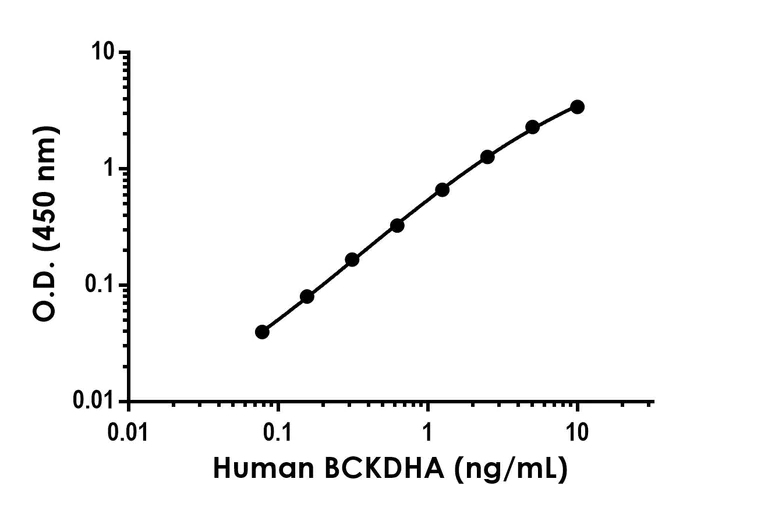 Sandwich ELISA - Anti-BCKDHA antibody [EPR27003-5] - BSA and Azide free (Detector) (AB307252)
