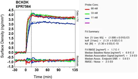 OI-RD Scanning - Anti-BCKDK antibody [EPR7564] - BSA and Azide free (AB248230)