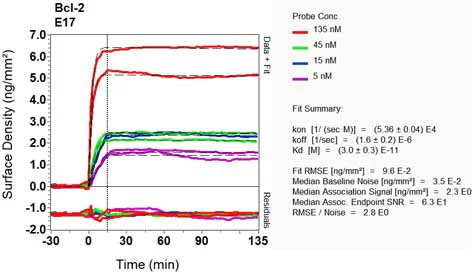 OI-RD Scanning - Anti-Bcl-2 antibody [E17] (AB32124)