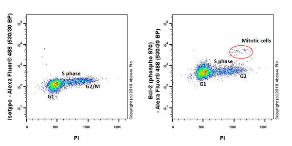 Flow Cytometry (Intracellular) - Anti-Bcl-2 (phospho S70) antibody [EPR21162] - BSA and Azide free (AB233694)