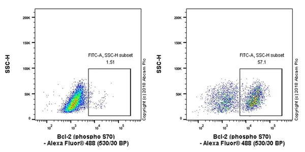 Flow Cytometry (Intracellular) - Anti-Bcl-2 (phospho S70) antibody [EPR21162] - BSA and Azide free (AB233694)