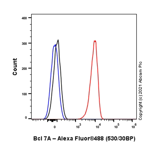 Flow Cytometry (Intracellular) - Anti-Bcl 7A antibody [EPR24162-226] (AB259833)
