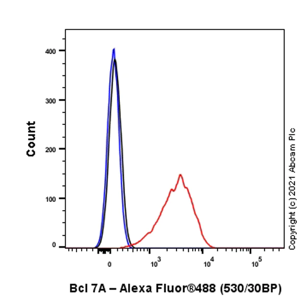 Flow Cytometry (Intracellular) - Anti-Bcl 7A antibody [EPR24162-226] (AB259833)