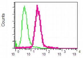 Flow Cytometry (Intracellular) - Anti-Bcl10 antibody [EPR3174] - BSA and Azide free (AB247661)