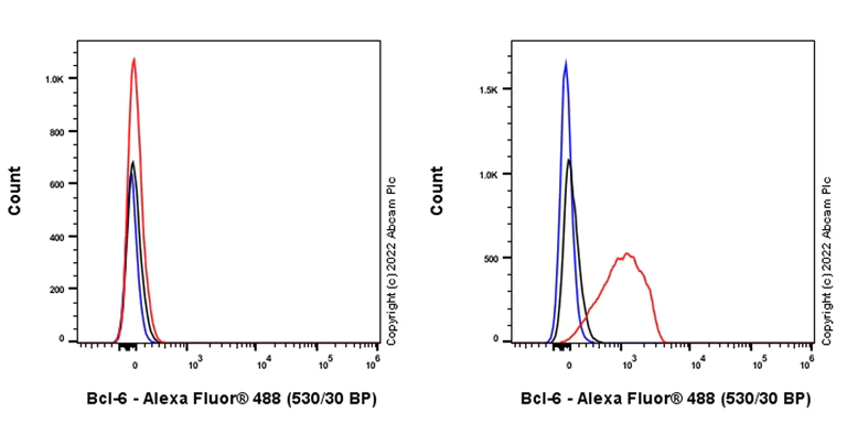 Flow Cytometry (Intracellular) - Anti-Bcl6 antibody [K112-91] - BSA and Azide free (AB307682)