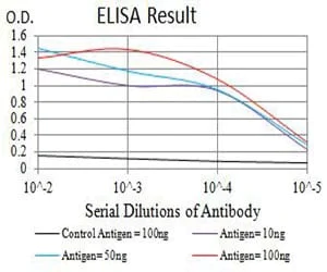 ELISA - Anti-BCMA antibody [1D12G9] (AB233745)
