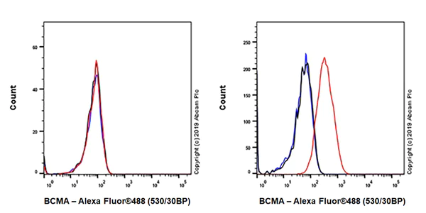 Flow Cytometry - Anti-BCMA antibody [EPR22457-260] (AB253242)
