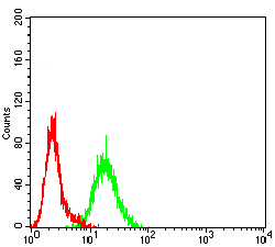 Flow Cytometry - Anti-Bcr antibody [1E11G12] (AB233709), expandable thumbnail