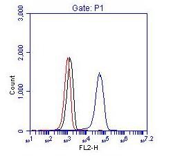 Flow Cytometry (Intracellular) - Anti-Bcr antibody (AB245511)