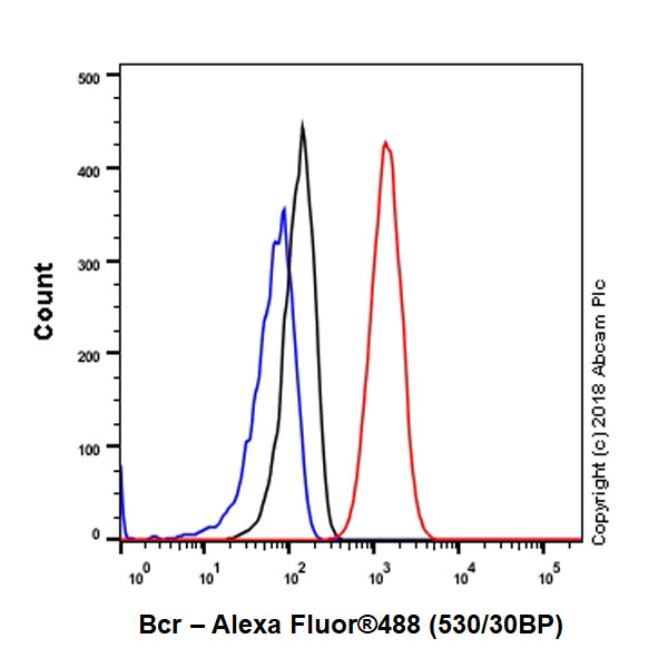 Flow Cytometry (Intracellular) - Anti-Bcr antibody [EPR22062] (AB222406)