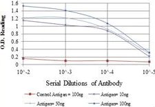 ELISA - Anti-BCRP/ABCG2 antibody [1H2] (AB130244)