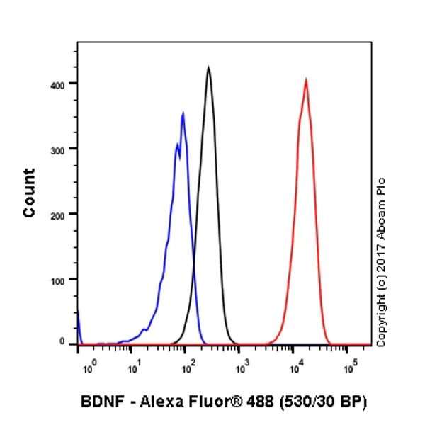Flow Cytometry (Intracellular) - Anti-BDNF antibody [EPR1292] - BSA and Azide free (AB271873)