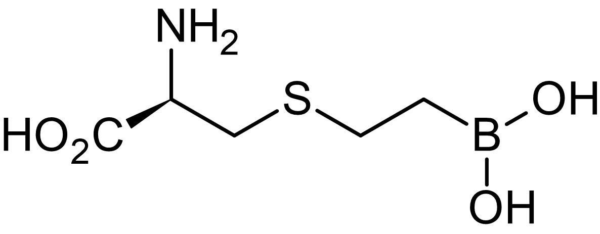 BEC, Arginase inhibitor