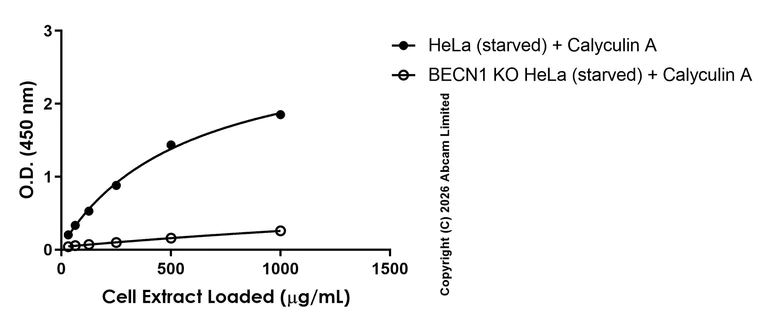 Sandwich ELISA - Anti-Beclin 1 (phospho S90) antibody [EPR26903-61] - BSA and Azide free (Detector) (AB324866)