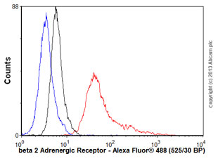Flow Cytometry - Anti-beta 2 Adrenergic Receptor antibody [6H8] (AB125150)